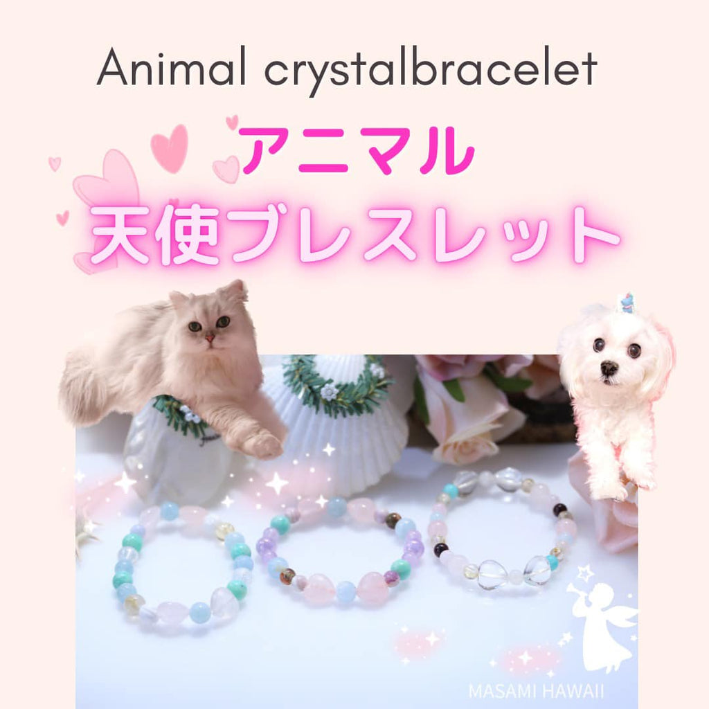 Animal crystal bracelet☆アニマル天使ブレスレット