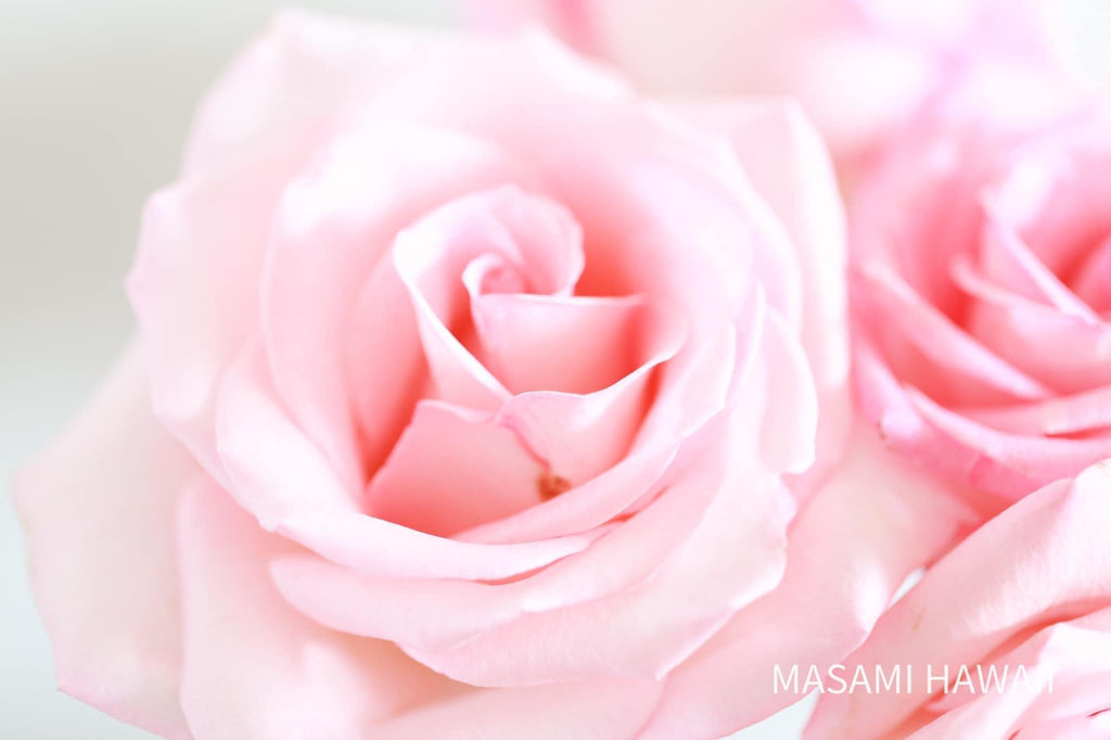 お客様の声☆毎日自分を愛し、自分のやりたいことをしていきます☆