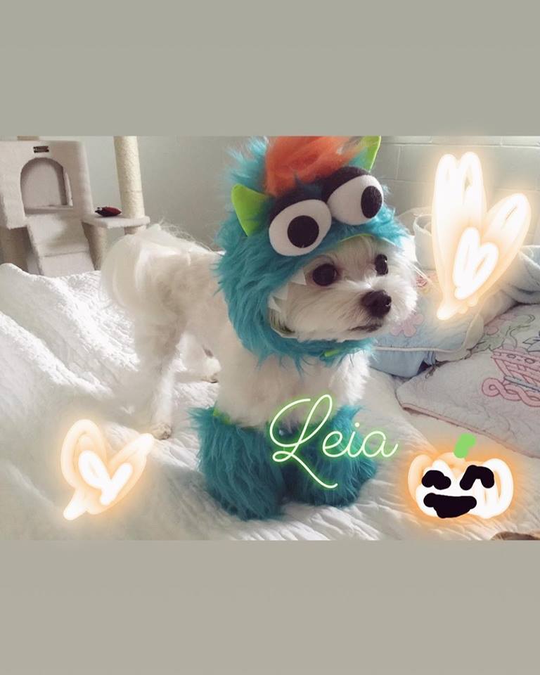 ハッピーハロウィンの季節☆セール中です。