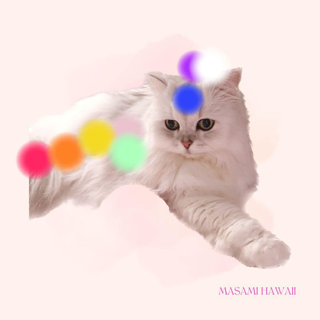 Animal crystal bracelet☆アニマル天使ブレスレット