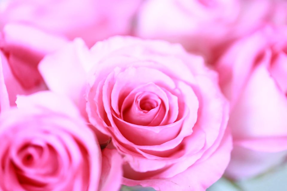 恋愛天使ヒーリング（遠隔）☆幸せな恋愛と結婚を引き寄せる☆Love Marriage Healing